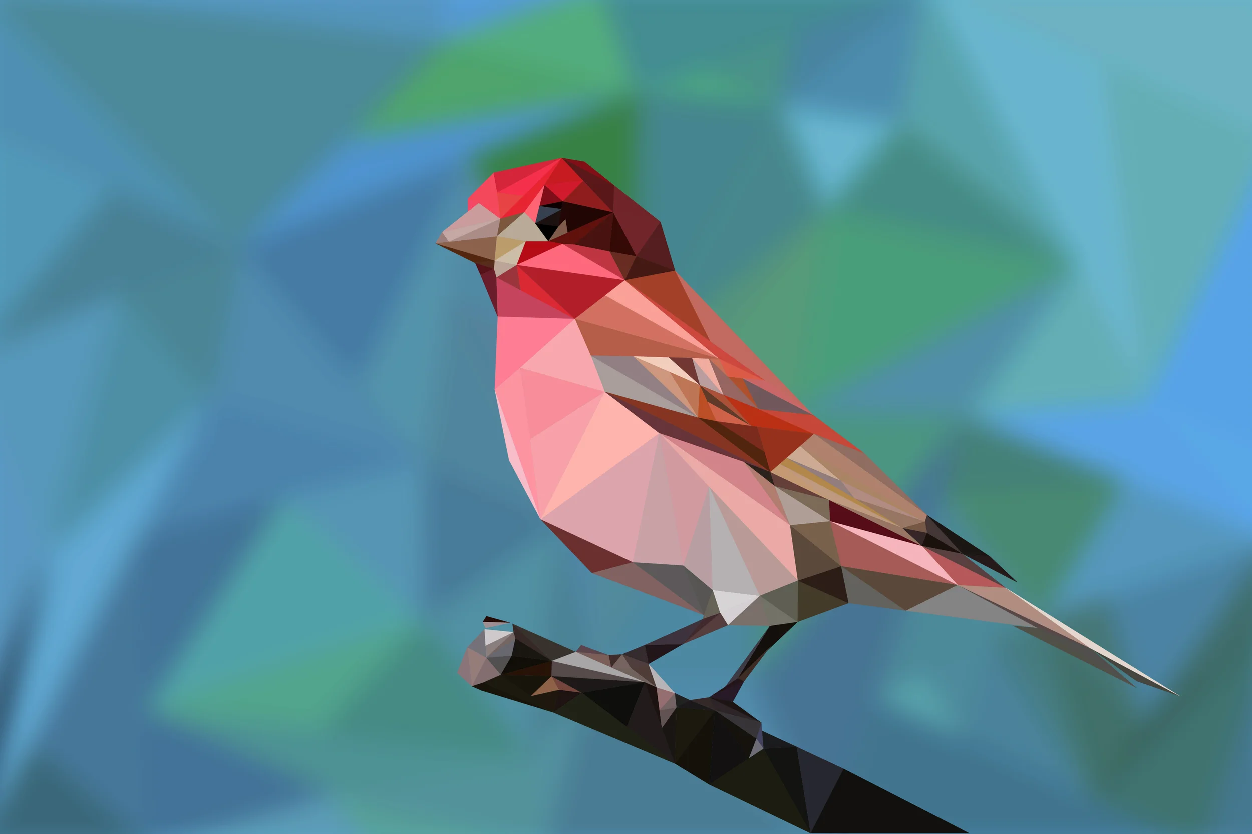 Low Polygon Purple Finch