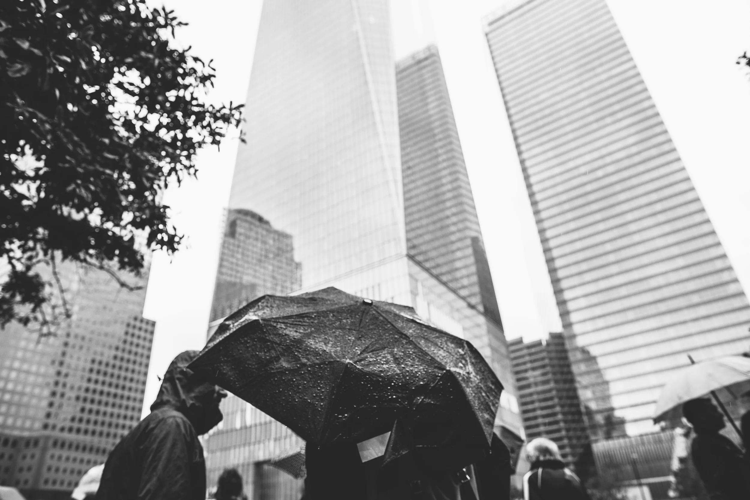 20140925-IMG_8158.jpg