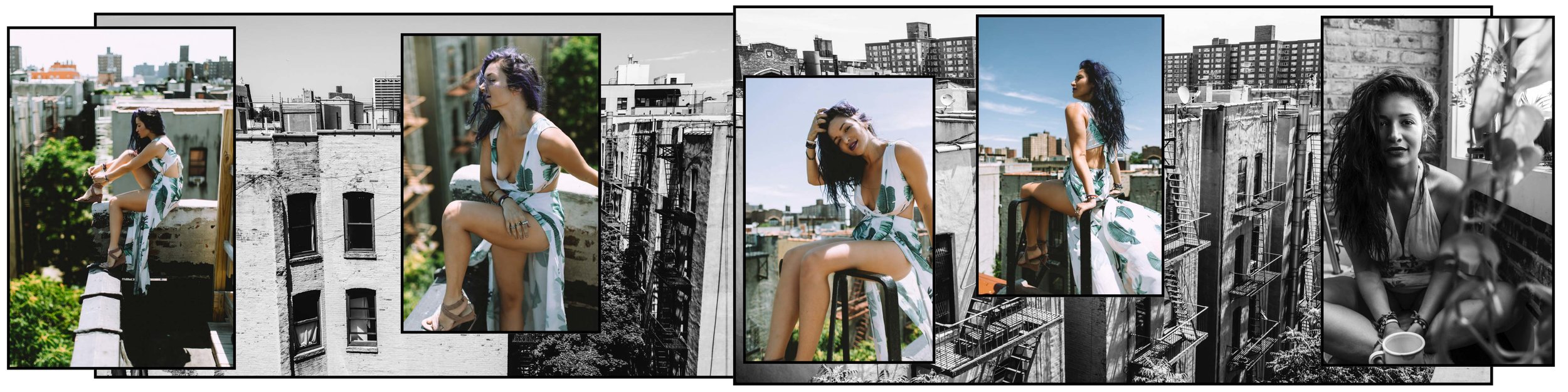 Harlem Rooftops