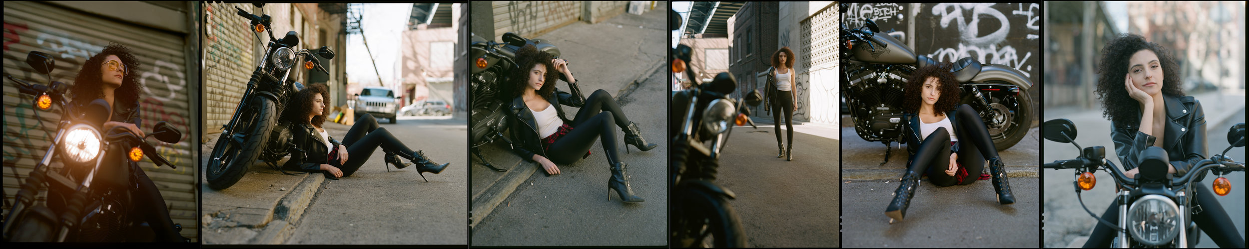 Harley Jenn