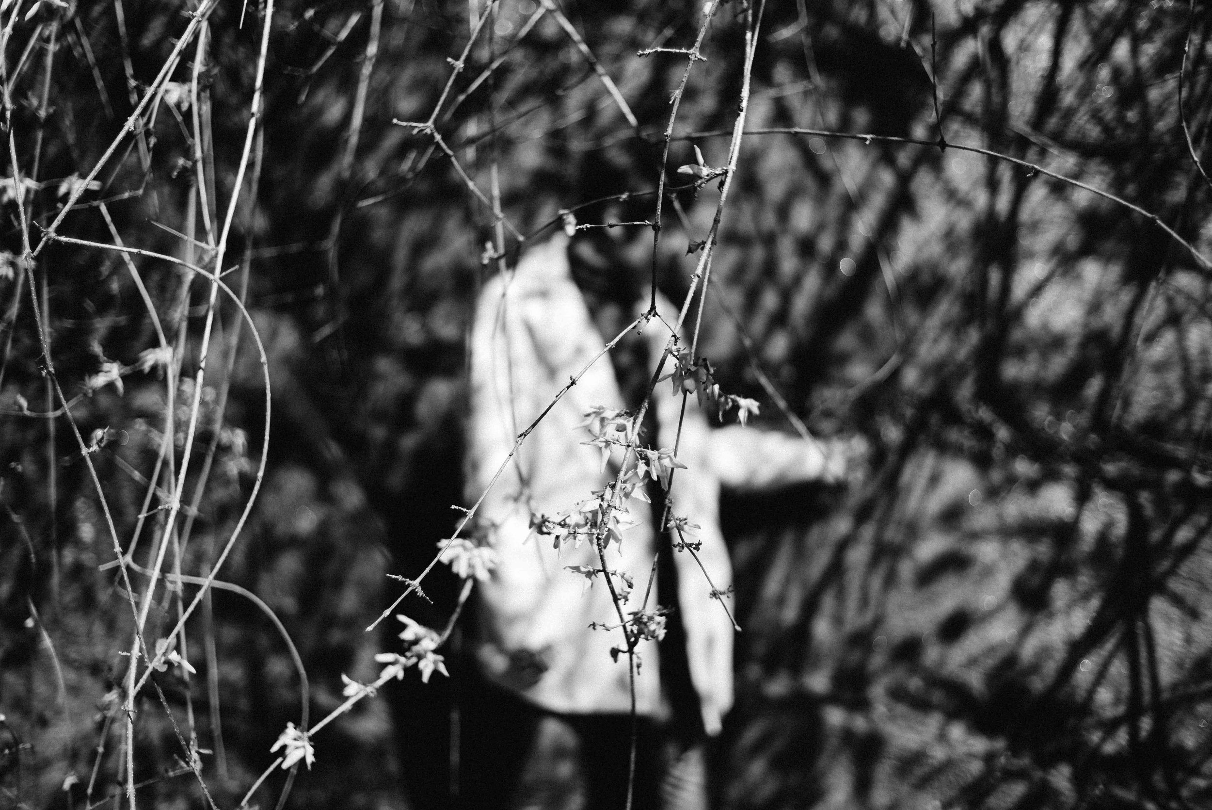 TmbrwarBWBotanical-9.jpg