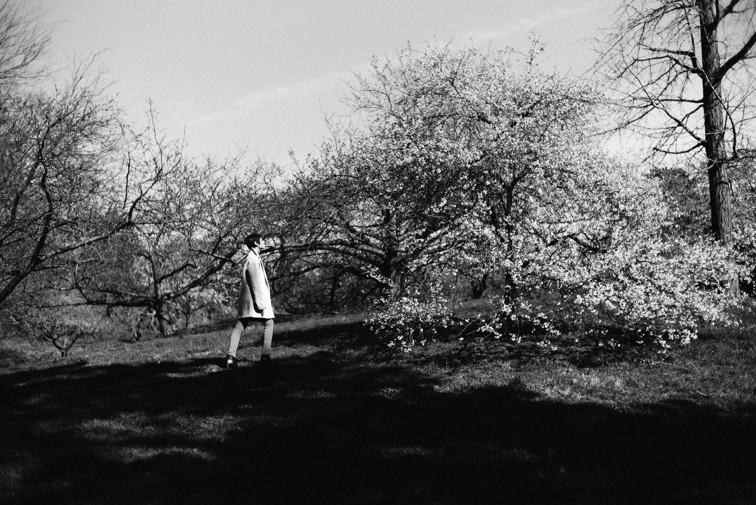 TmbrwarBWBotanical-20.jpg