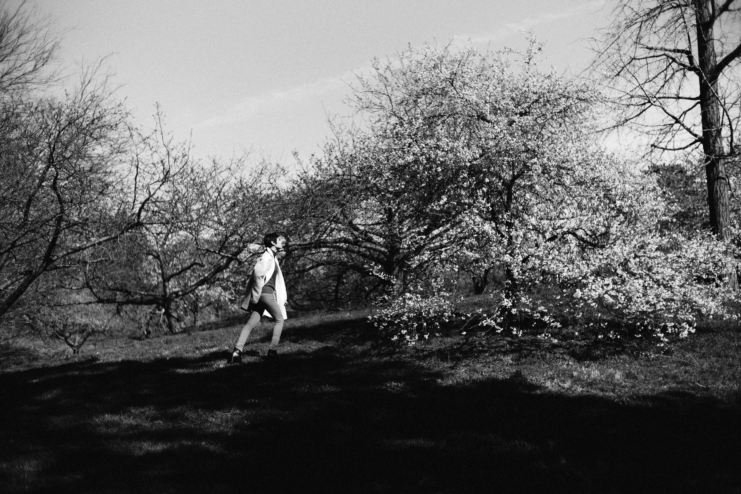 TmbrwarBWBotanical-22.jpg