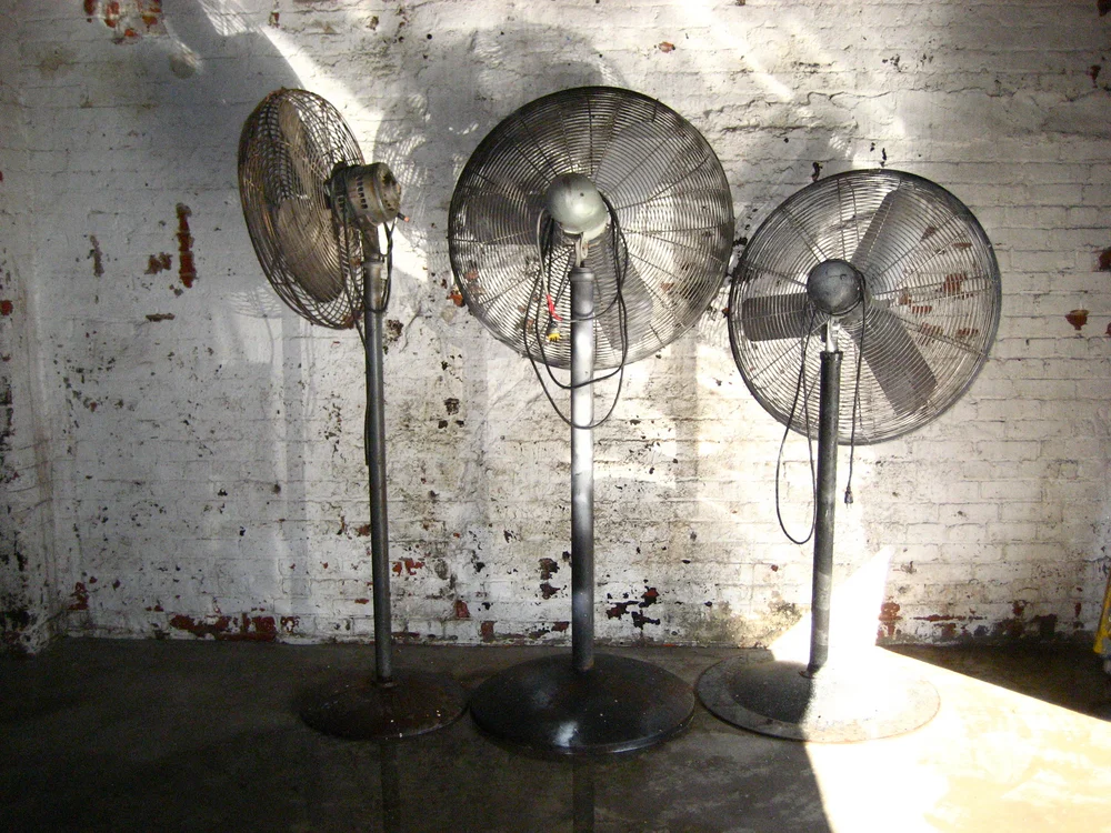 Fans — Primate Props