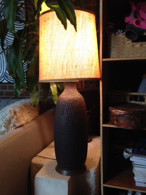 Dark Lamp with Shade $55