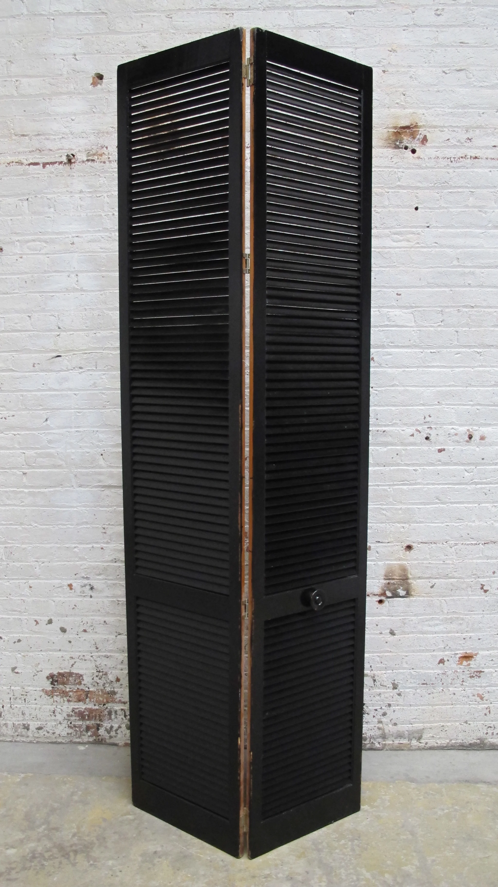 Black 2-panel Screen - front $75
