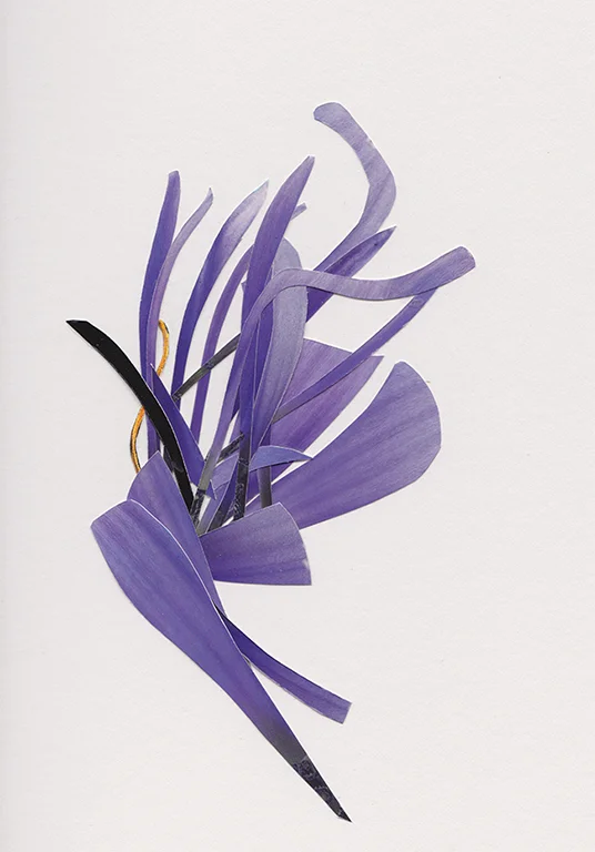 Fleur (mauve)s.jpg