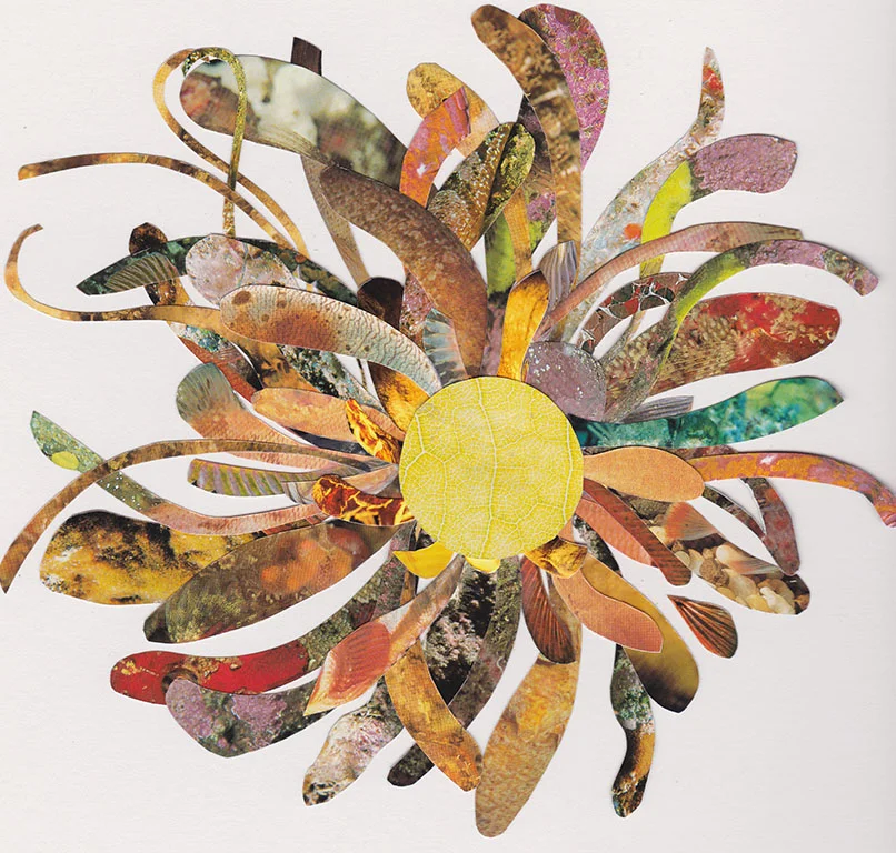 Fleur(soleil).jpg