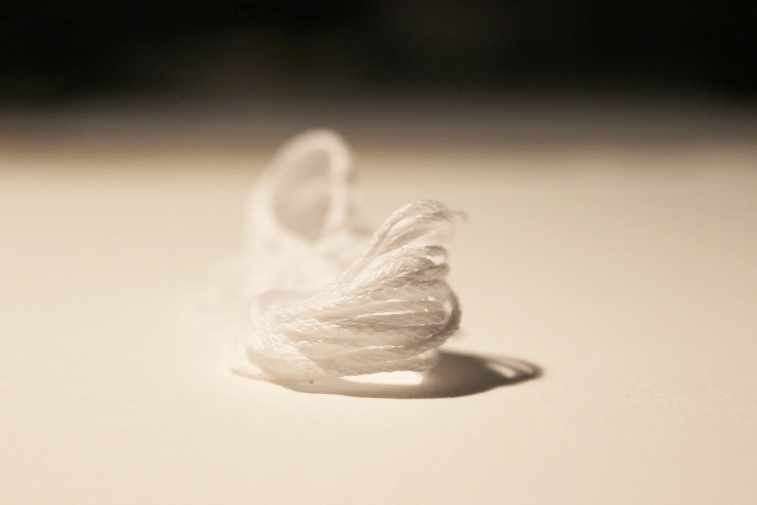 Banff Strings_0063.JPG