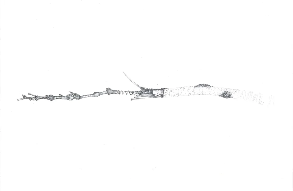 03_Just the important parts_2016_graphite and mixed media on paper_48x61cm.jpg