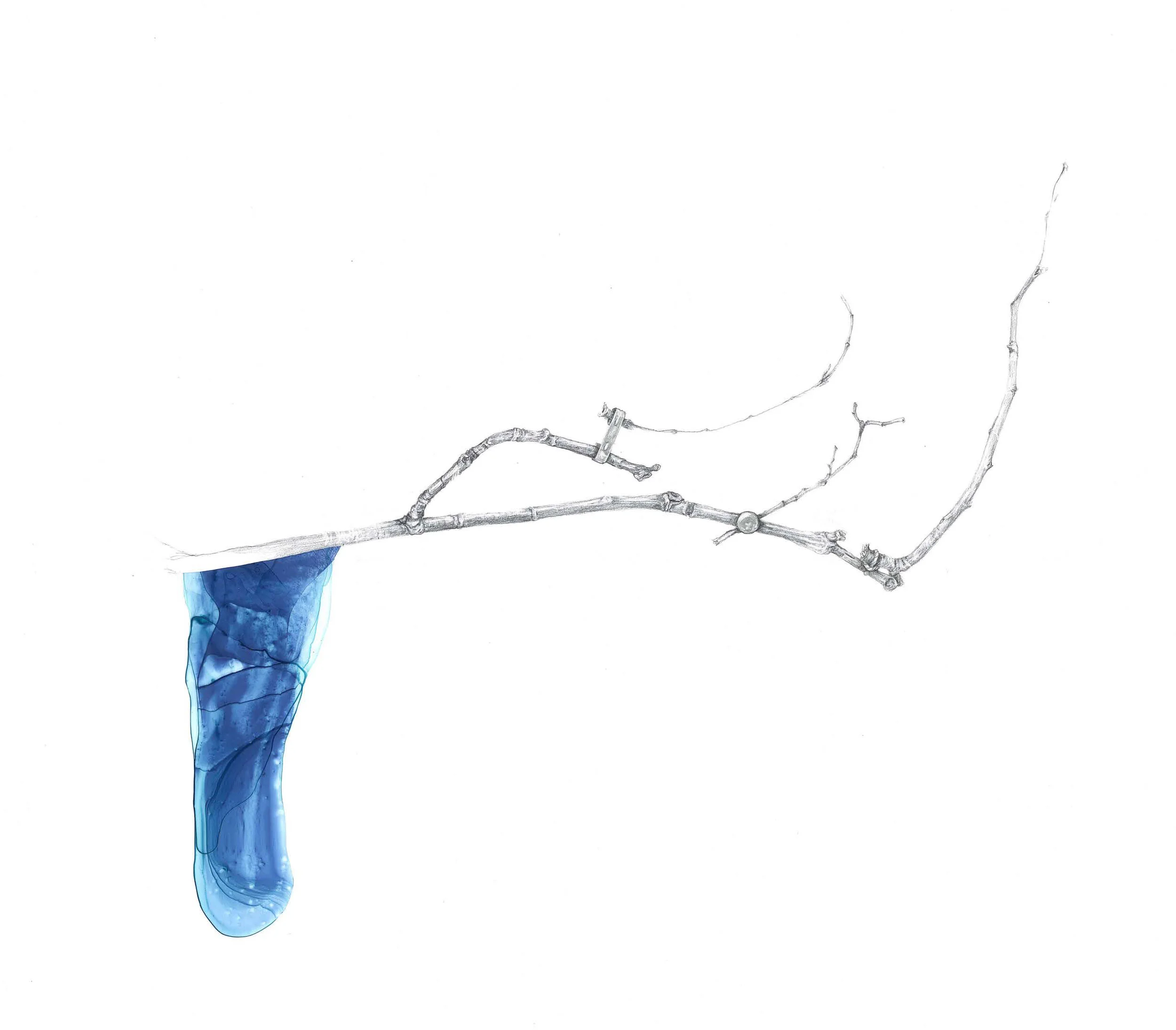 MM_Drip.jpg