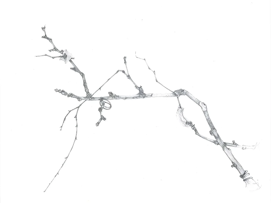 05_The Tip_2016_graphite and mixed media on paper_48x61cm.jpg