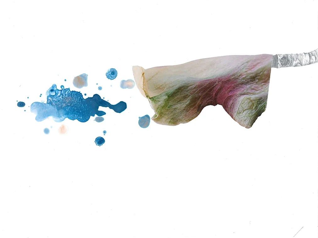 Ledger Size_Page_11_small.jpg