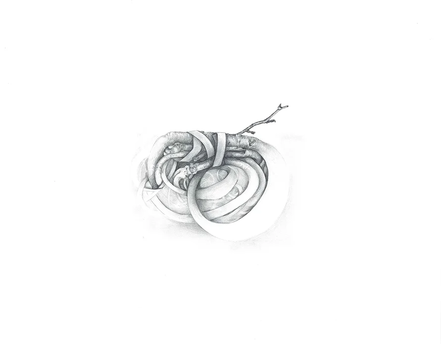 Knot.jpg