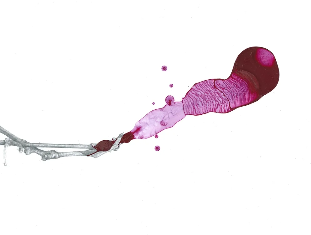 Ledger Size_Page_07_small.jpg