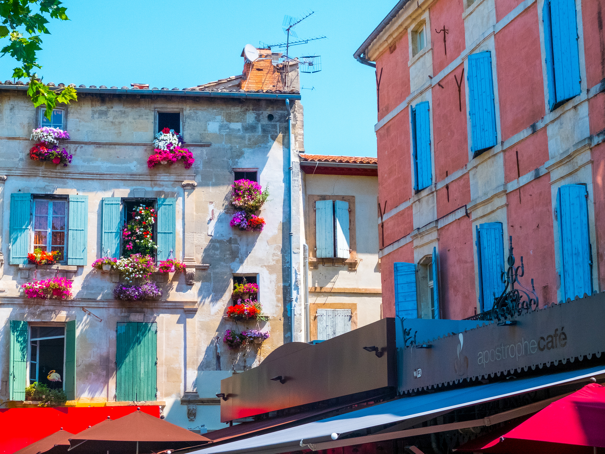 tour guide for arles