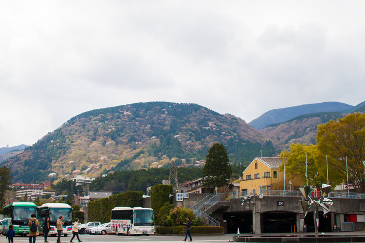 Guide+to+the+Hakone+Open+Air+Museum (1).jpeg