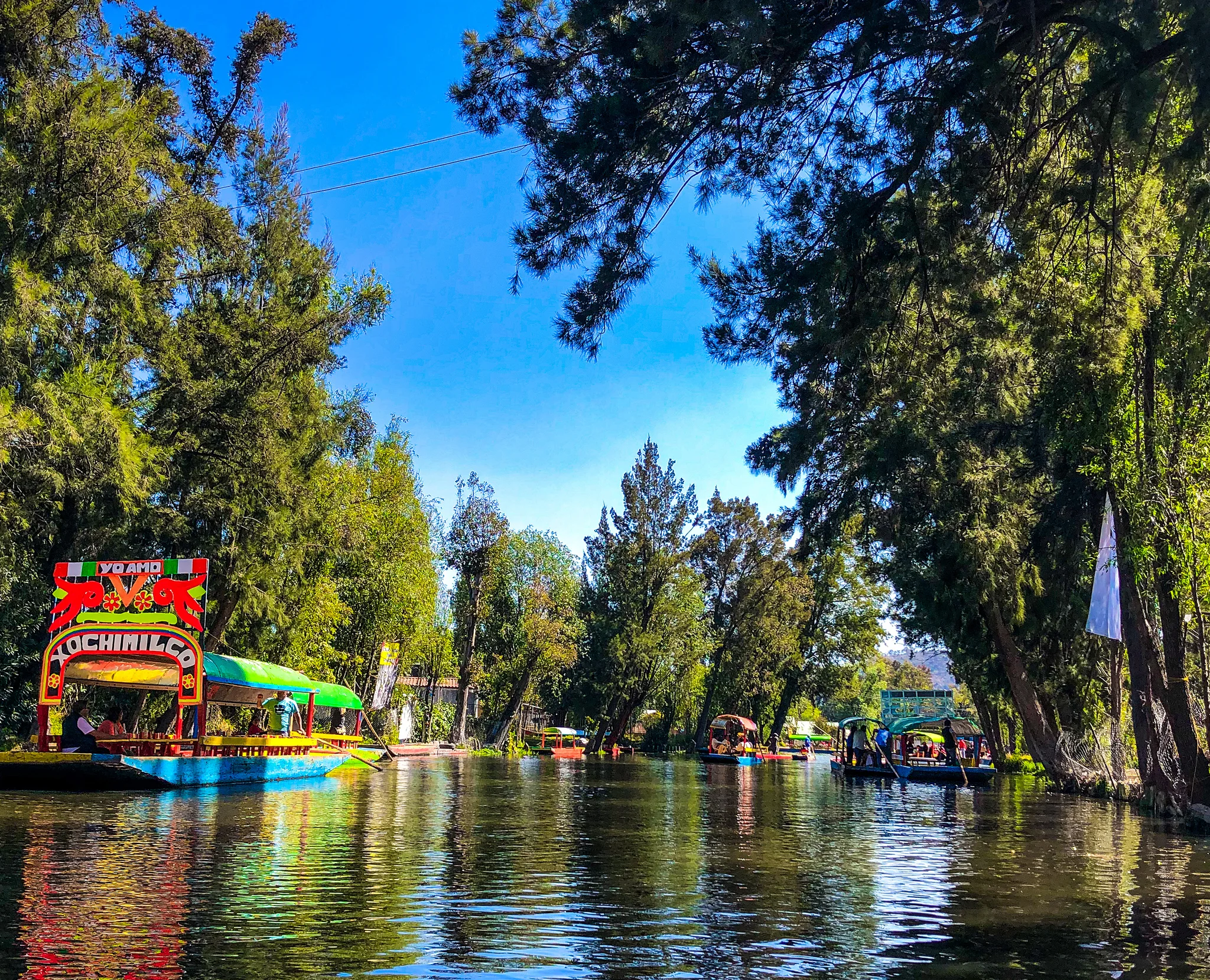 A Complete Guide to the Floating Gardens of Xochimilco How to Get