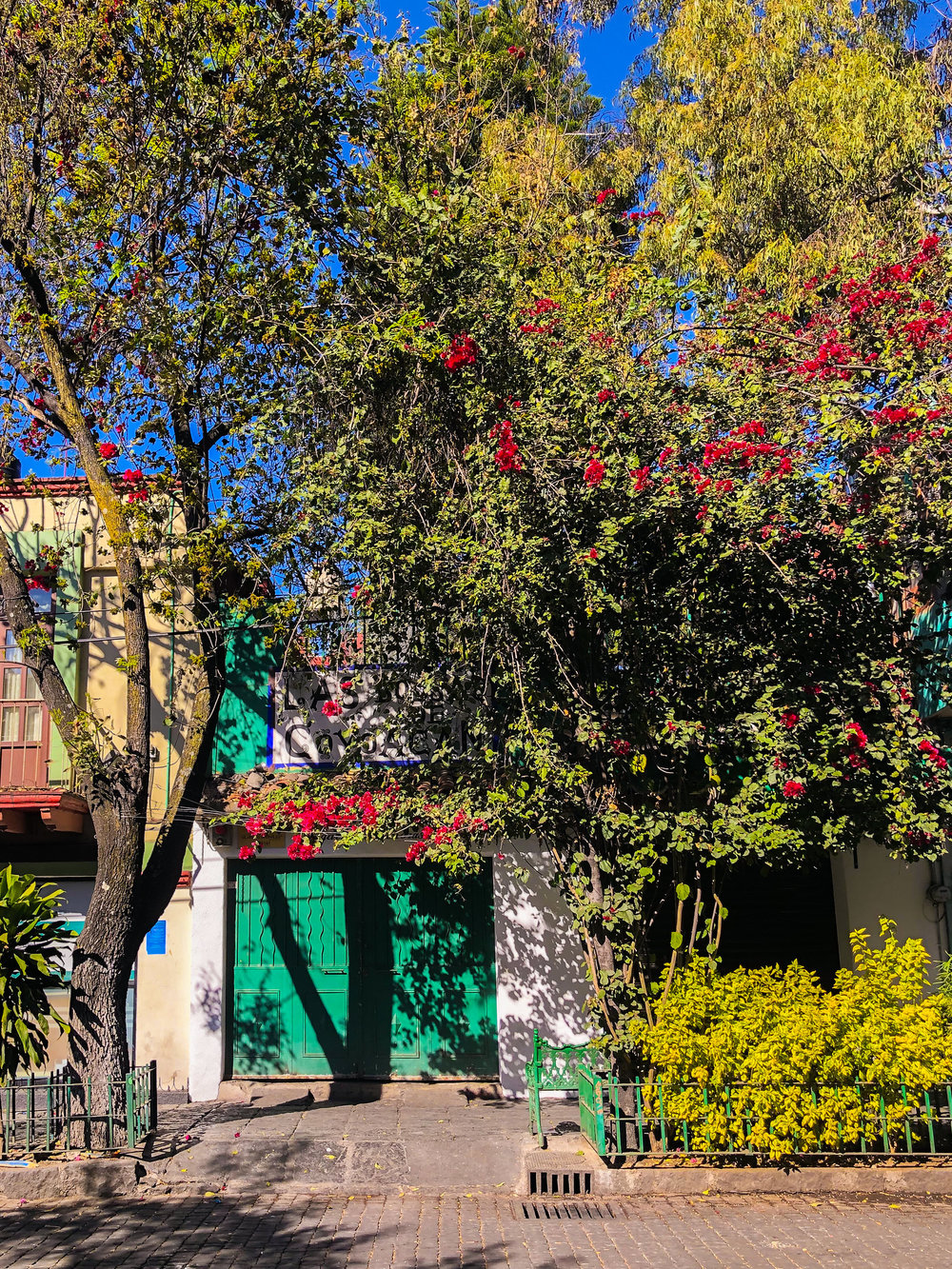 The Ultimate Self Guided Walking Tour of Historic Coyoacán, Mexico City's Oldest Neighbourhood