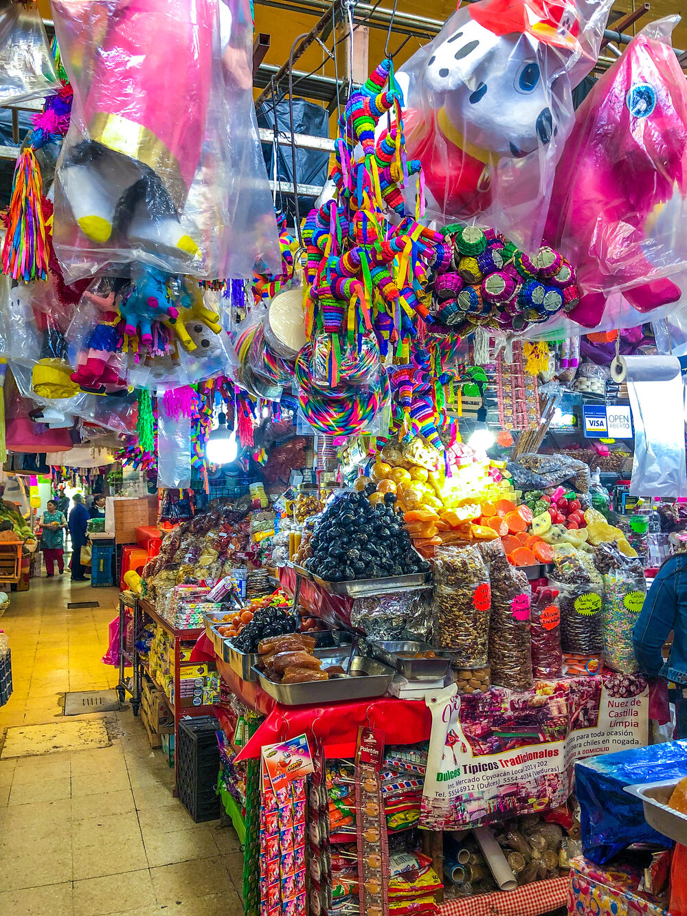 In the Footsteps of Frida Kahlo, The Ultimate Colorful Guide to her life in Mexico City