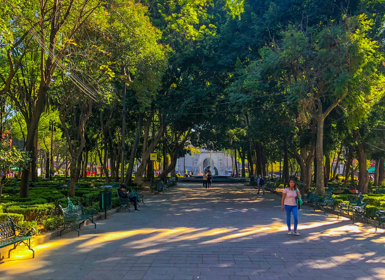 In the Footsteps of Frida Kahlo, The Ultimate Colorful Guide to her life in Mexico City