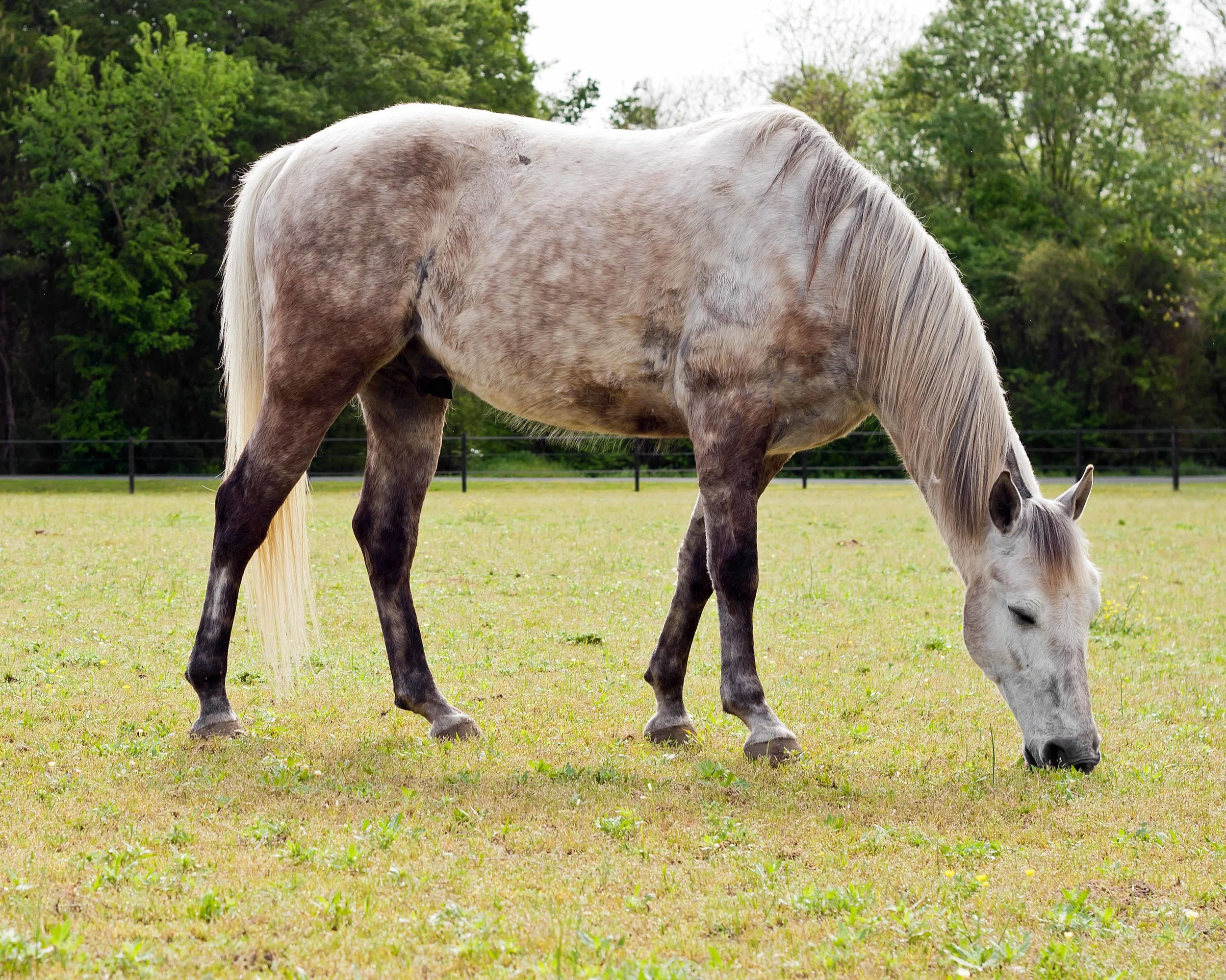 STABLES57.jpg