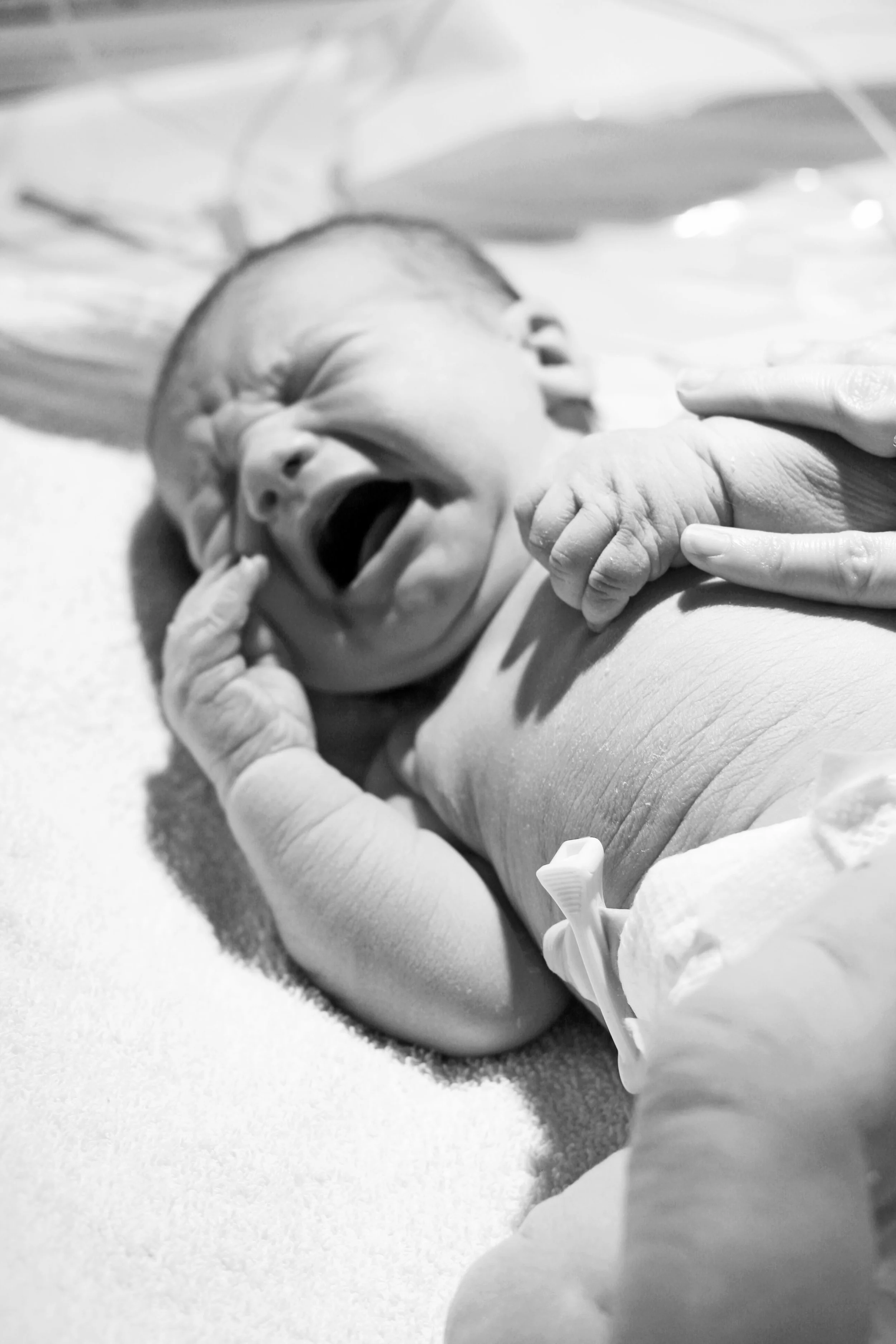 WILMINGTON_NC_PHOTOGRAPHER_BIRTH_PHOTOGRAPHY_TIFFANY_ABRUZZO11.jpg