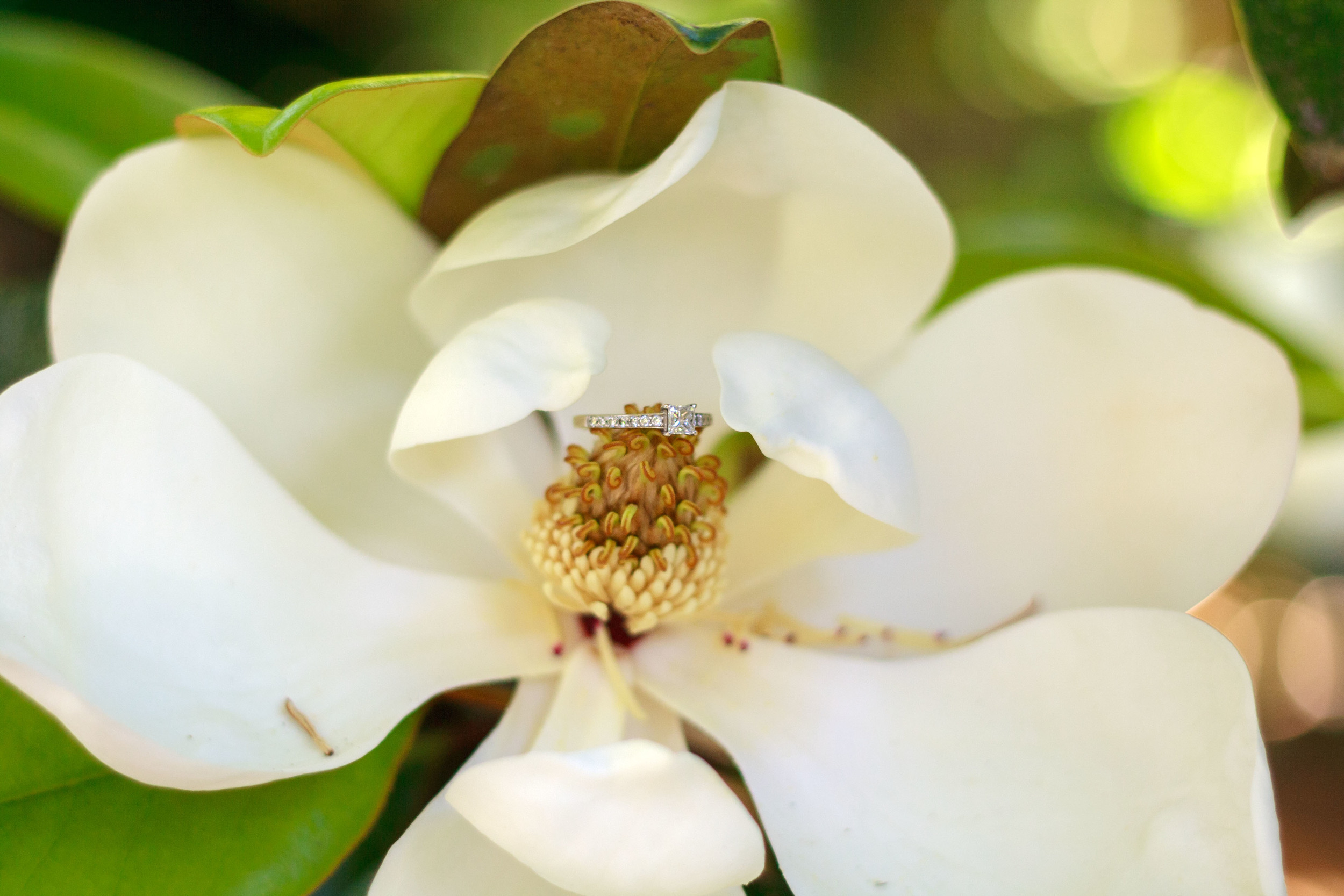 Airlie_Gardens_Engagement_Photography_Brian_&_Amy_35.jpg