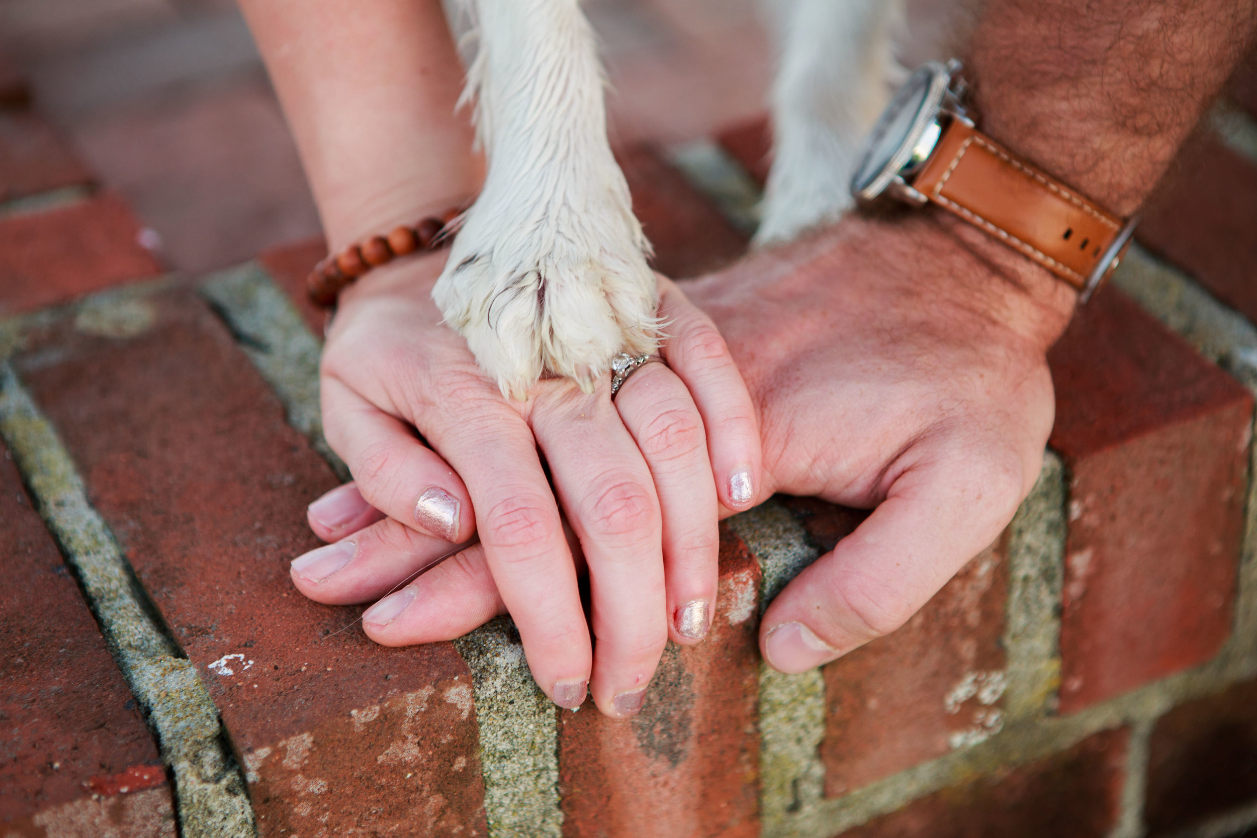 Fort_Fisher_Photographer_Engagement_Tiffany_Abruzzo_Photography_48.jpg