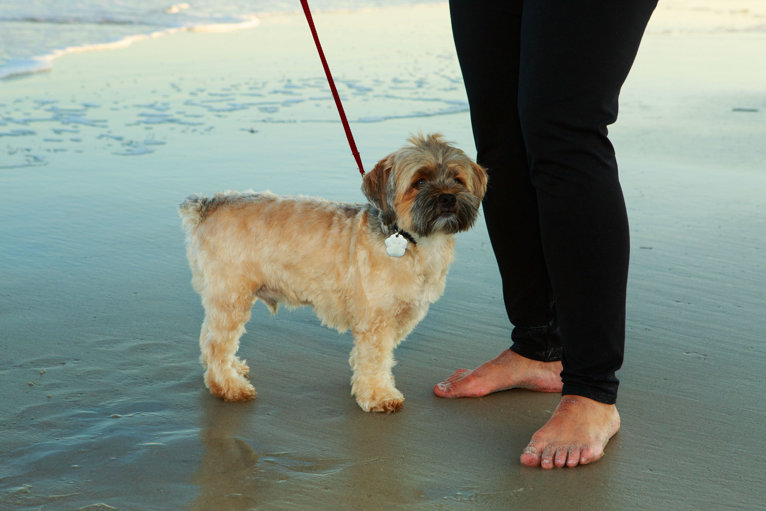 NC_Photographer_Topsail_Family_Session_Tiffany_Abruzzo_Photography_31.jpg