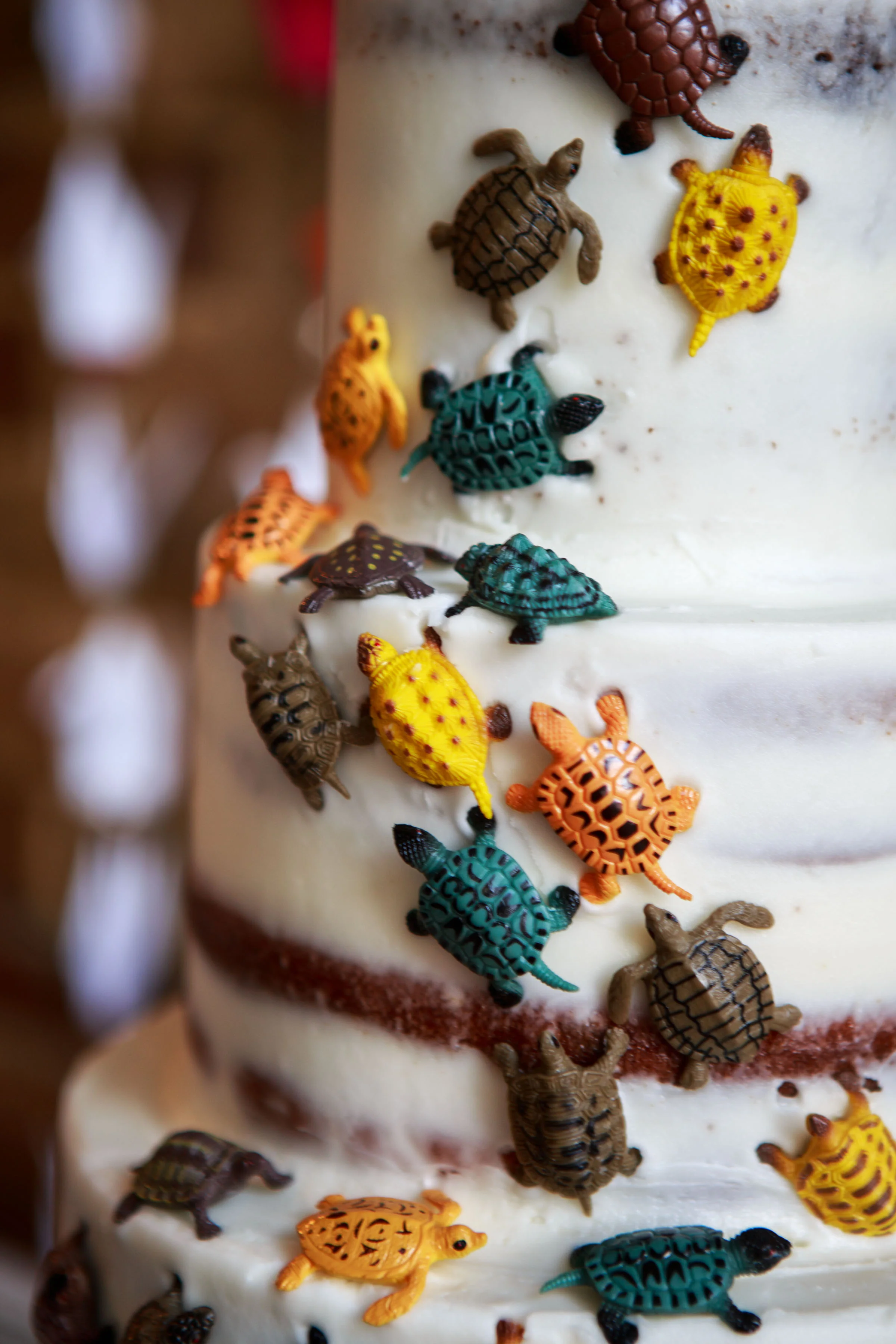 128-South-Wedding-Tiffany-Abruzzo-Photography-Details-53.jpg