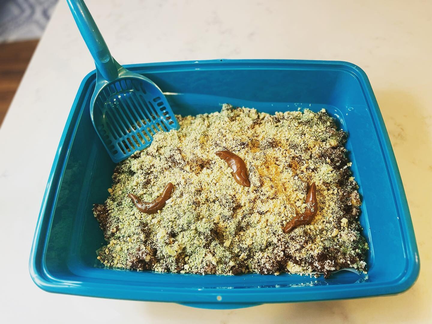 One time in the early aughts, I made a Kitty Litter Cake for our girls-only Festivus rager. It&rsquo;s trending again now so this time, I fed it to the neighbors. 😸