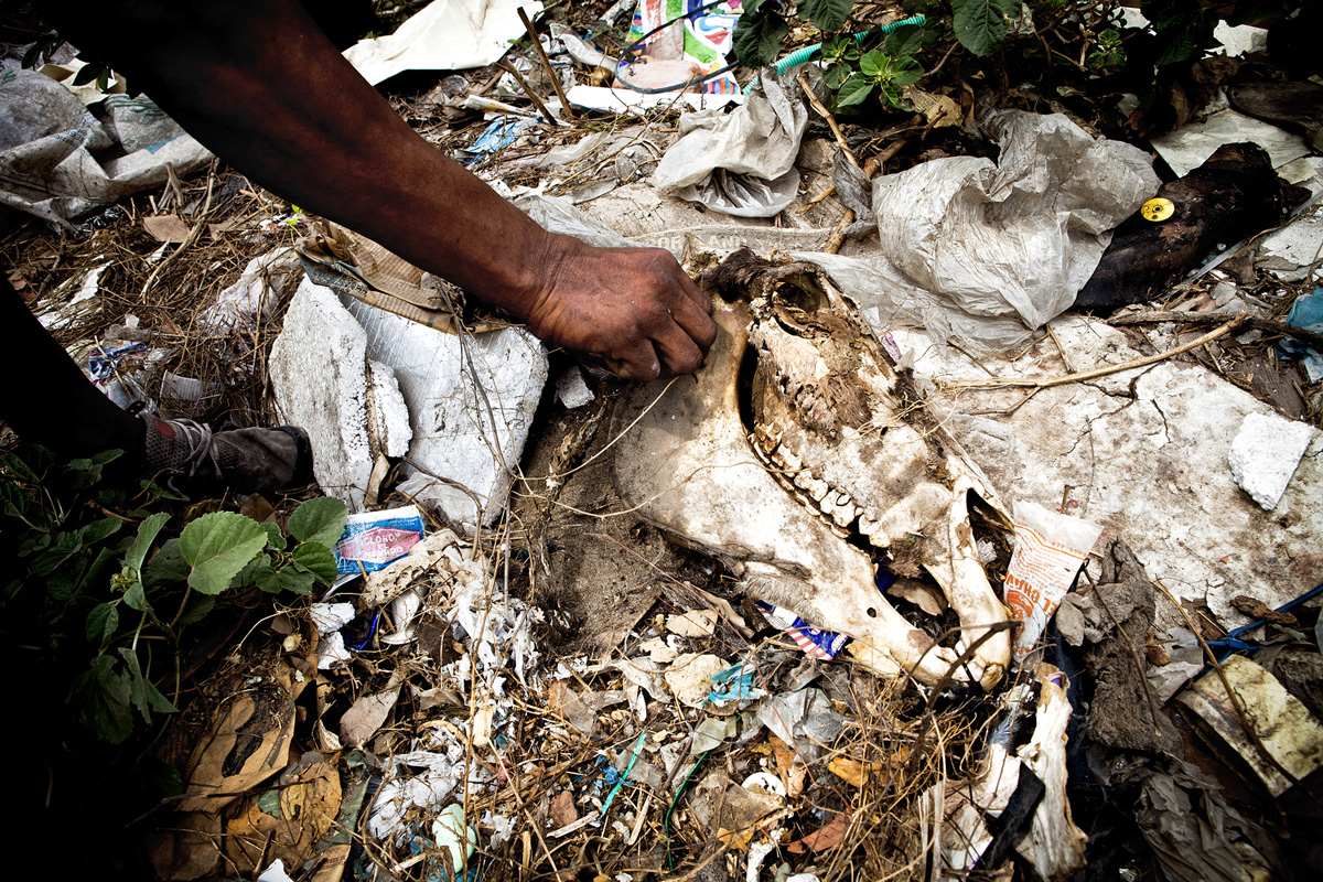 Alex points out animal bones next to their living space. Barranquilla, Colombia 2014