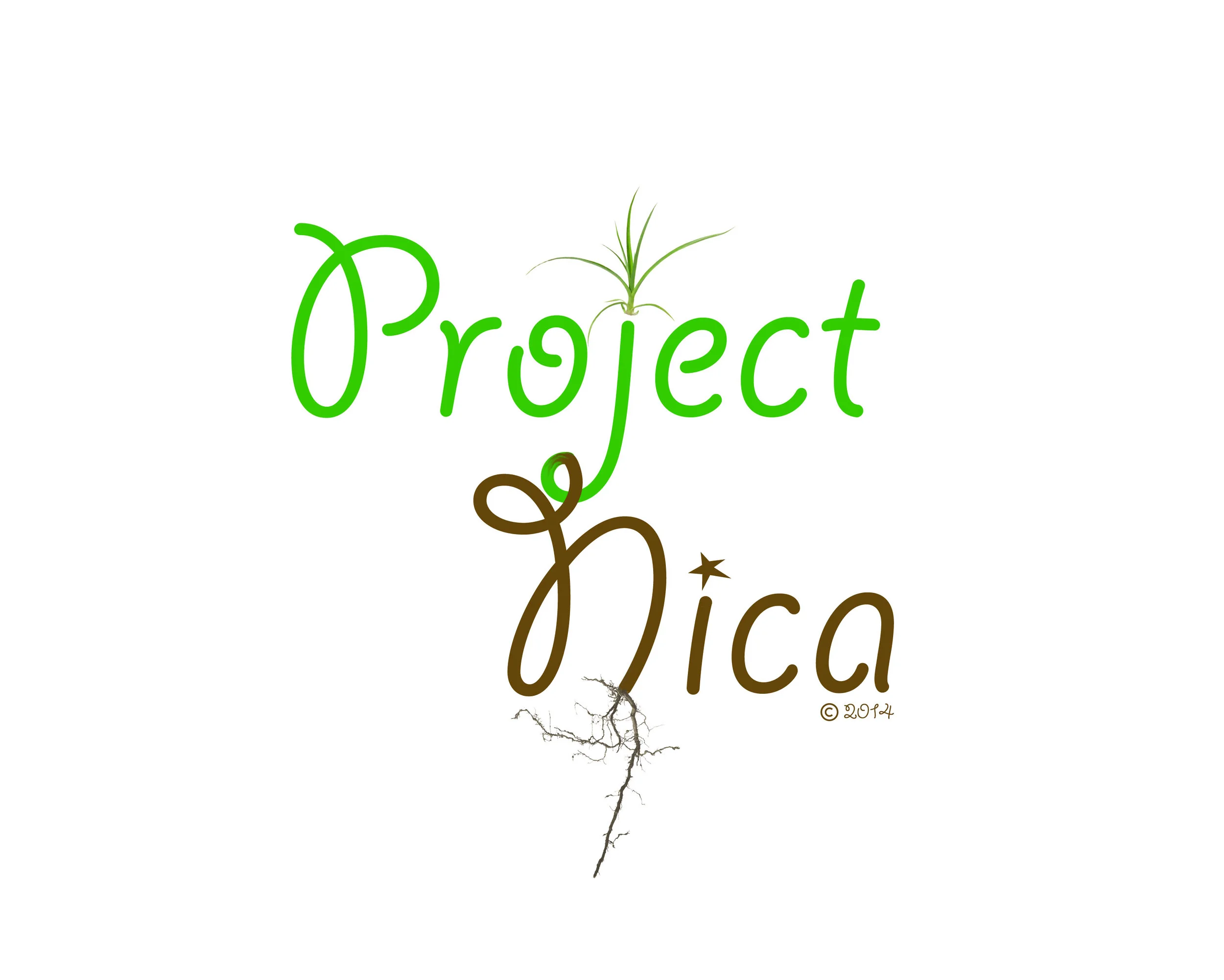 Project NICA provides Environmental, Educational and Healthcare projects for a landfill community at La Chureca. 