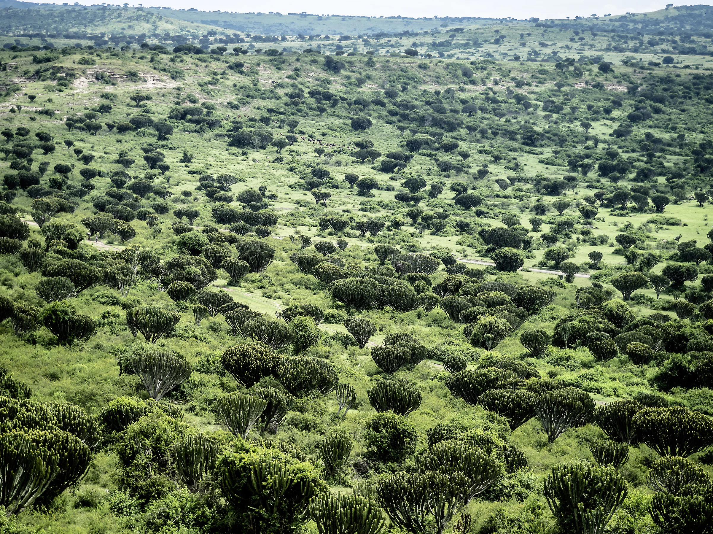 The gorgeous land of Katwe Kabatoro.