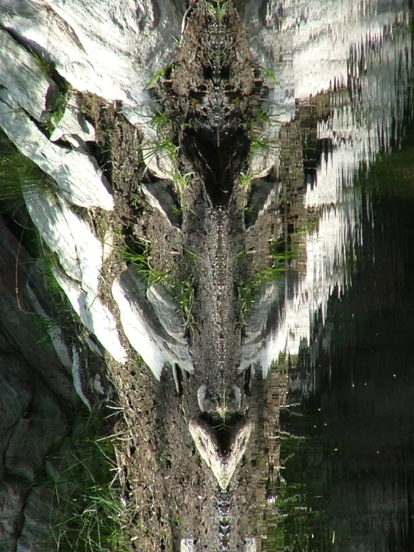  Photo by Martin Boisclair 