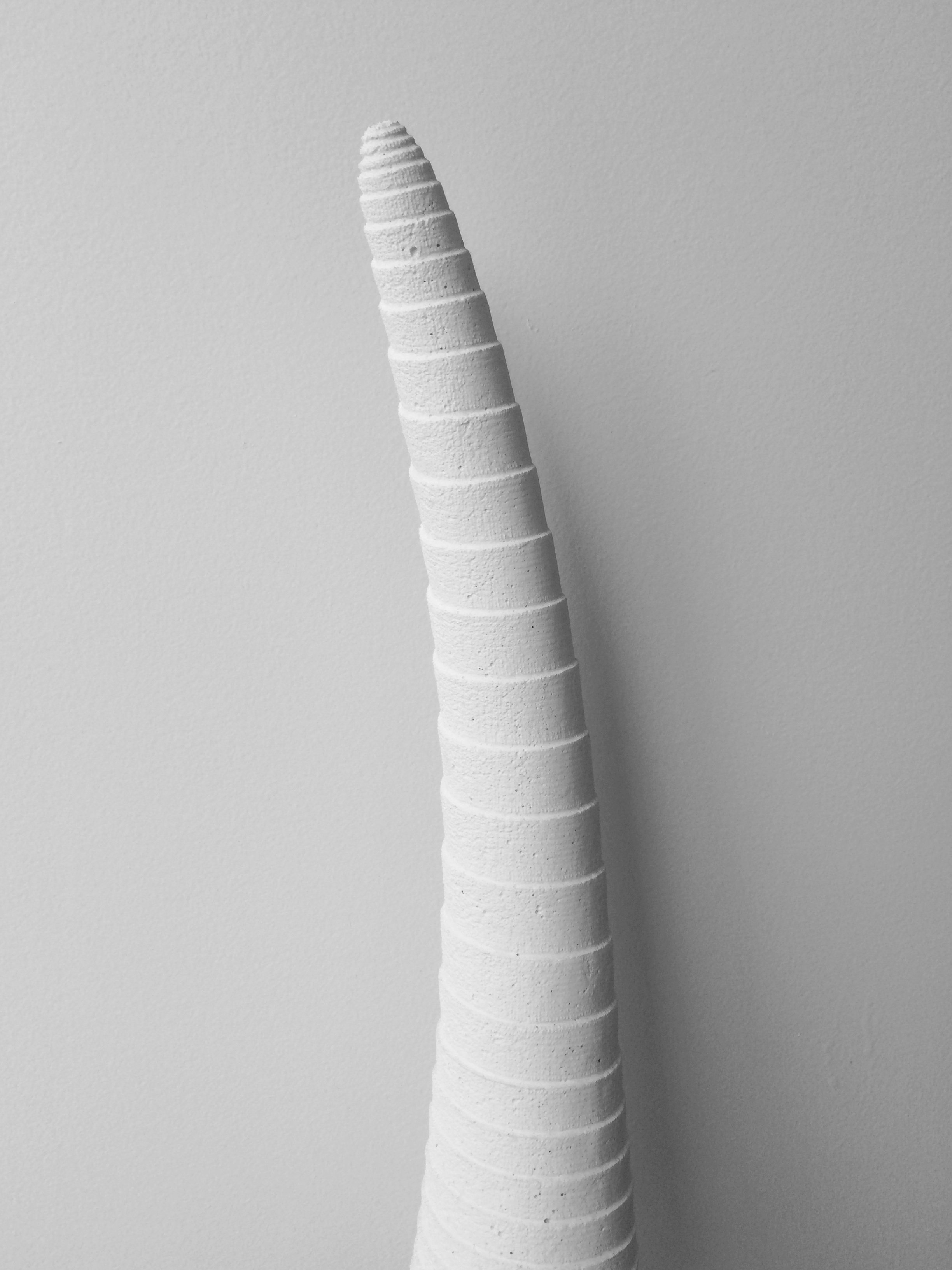 Disruption Regime (detail)
