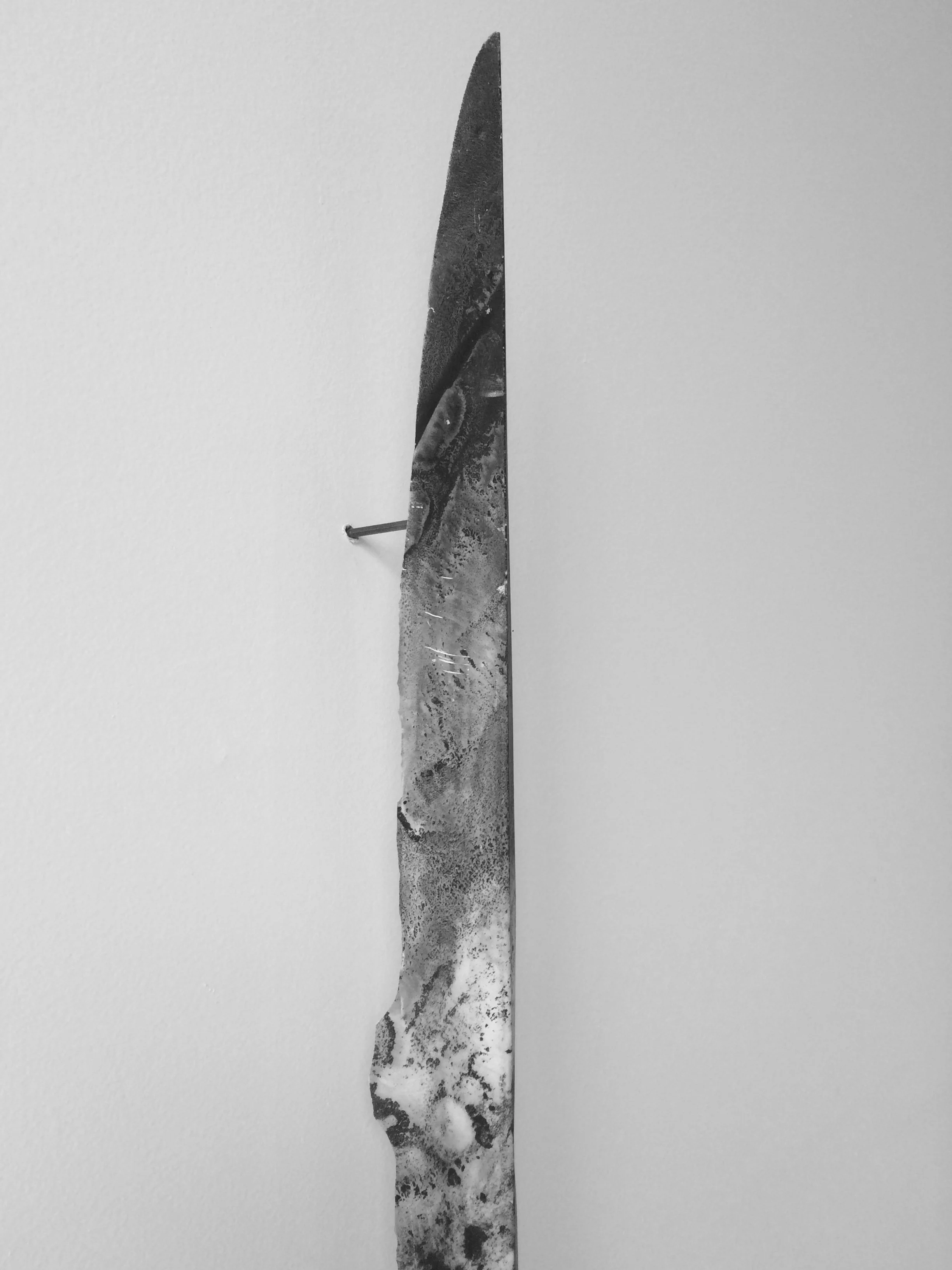 Disruption Regime (detail)