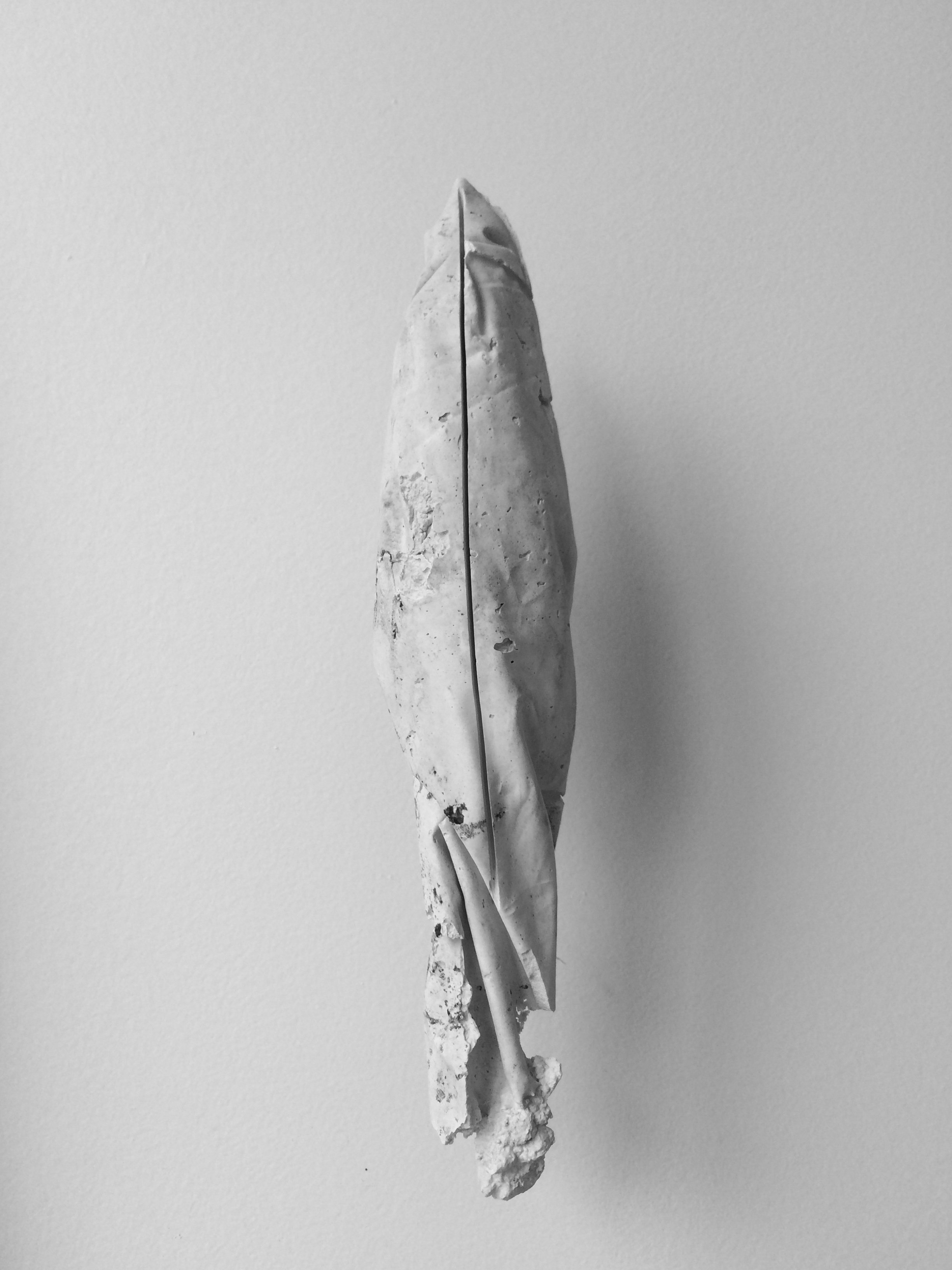 Disruption Regime (detail)