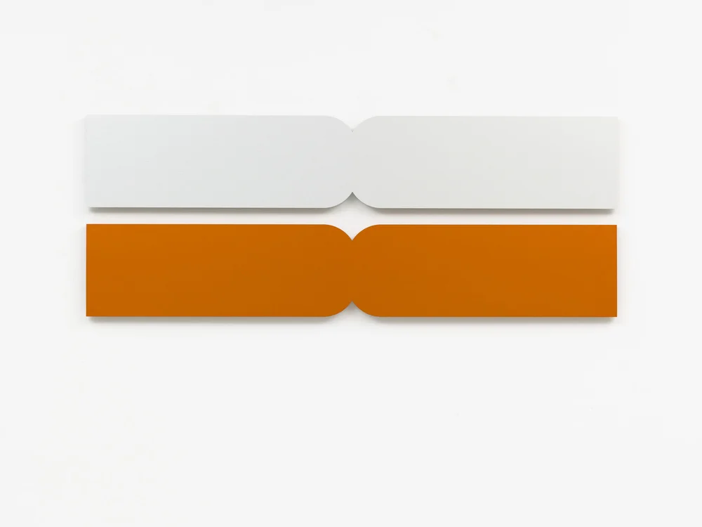 Cecilia Vissers "Next-Tide" (2015)