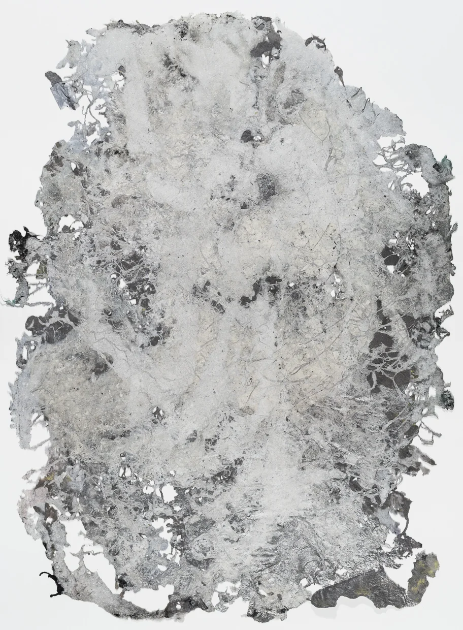 Schist (2016)