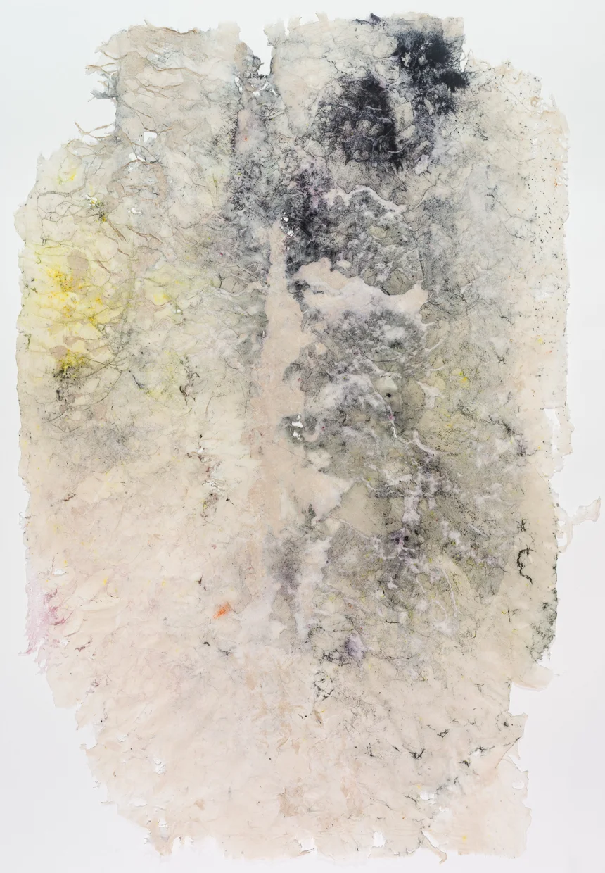 Spine (2016)
