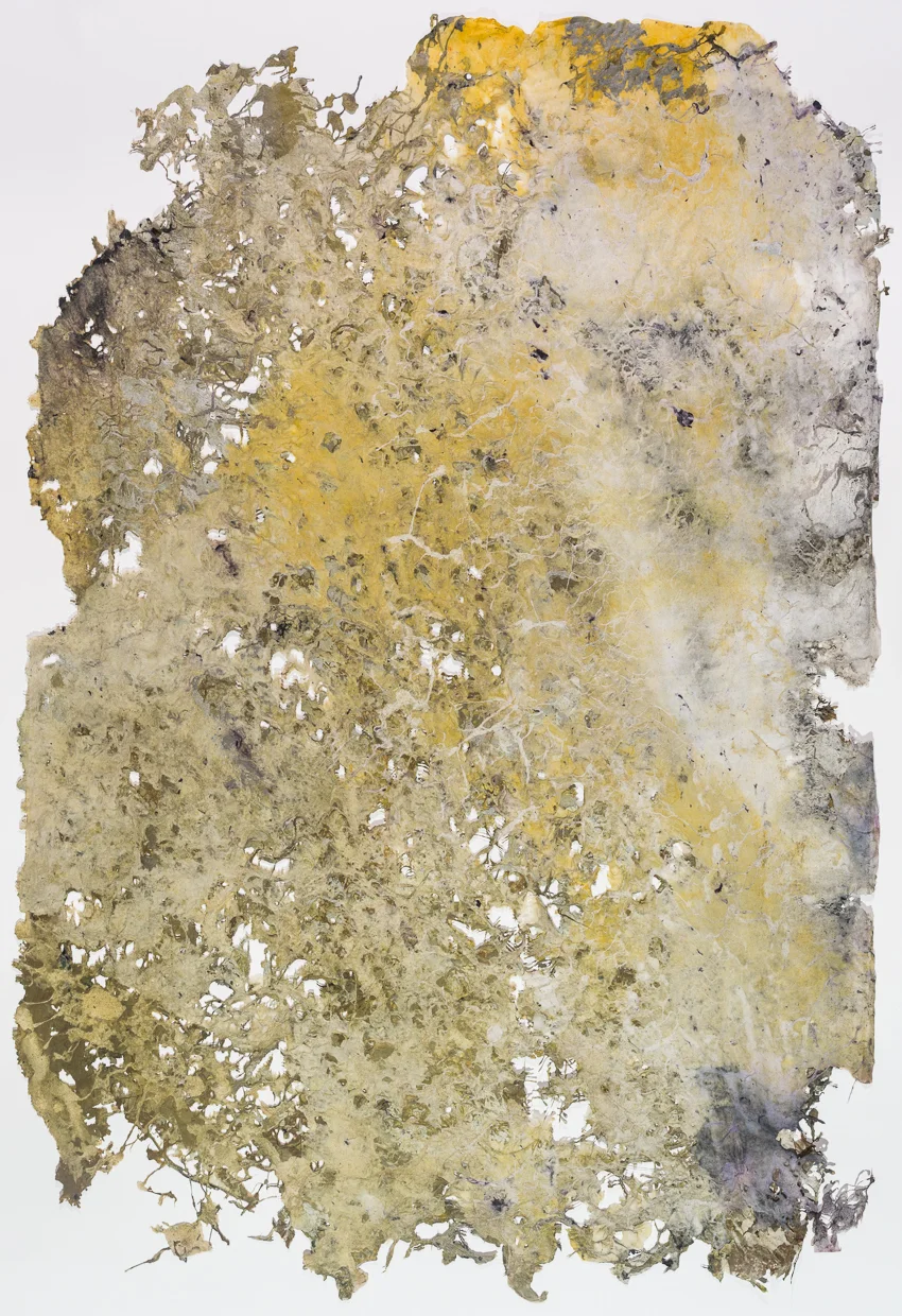 Anticline (2016)
