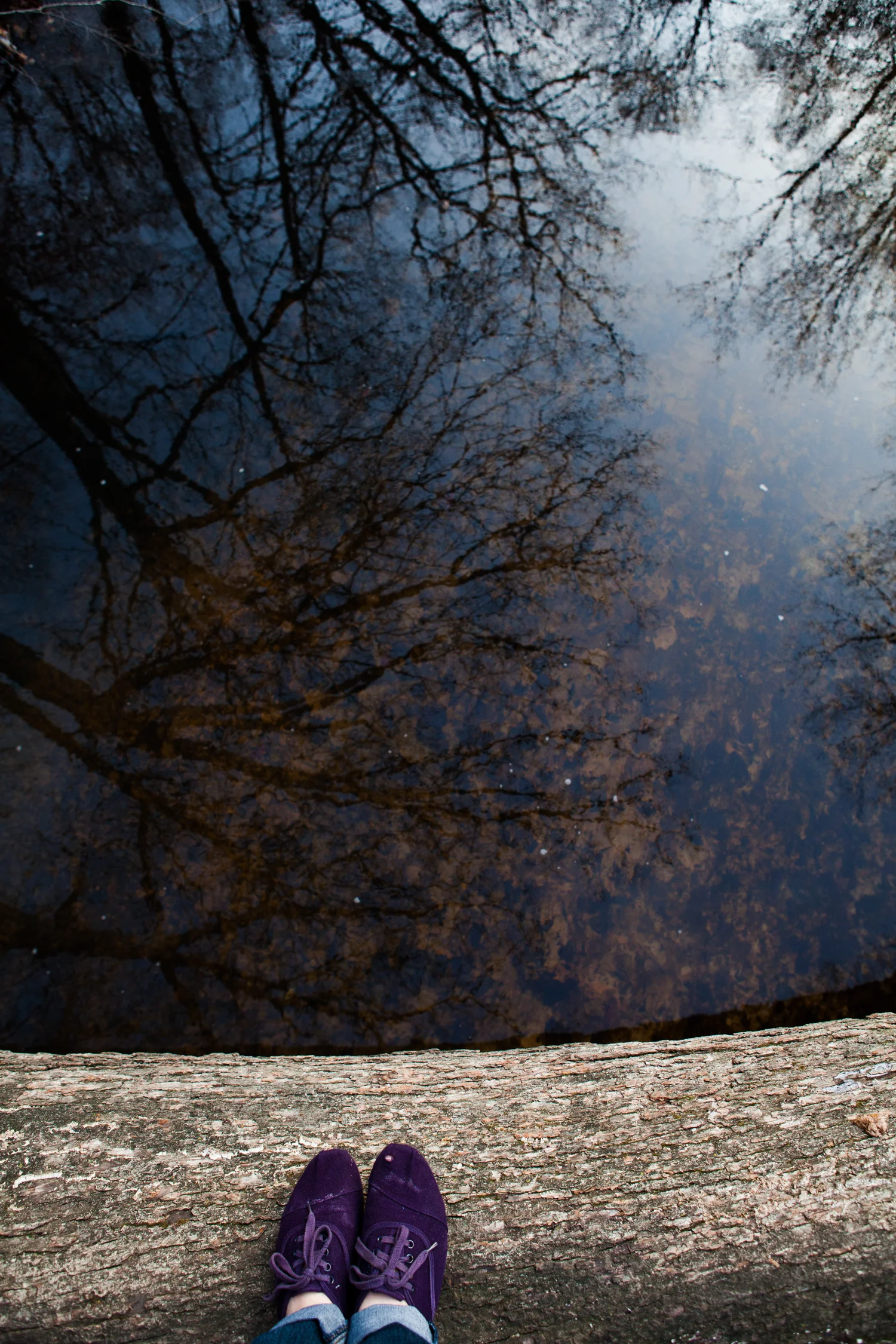 121121_Aman Park-1.jpg