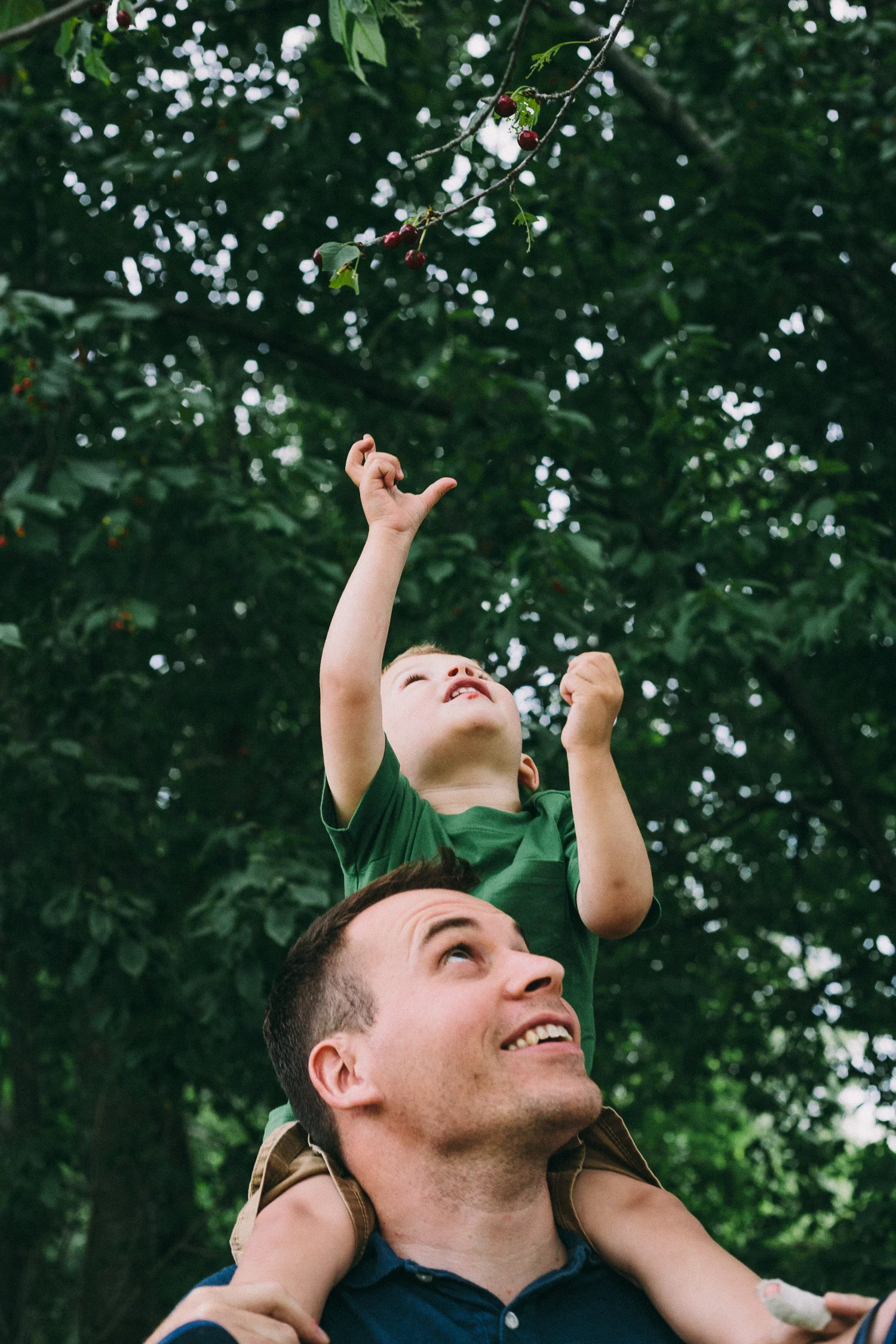 Hawkins2013-24.jpg