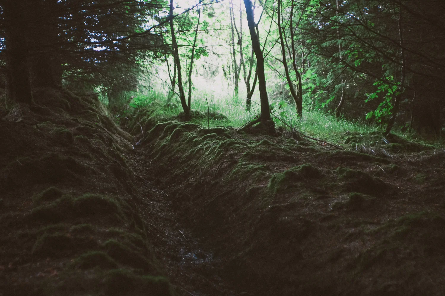 DSCF1576.jpg