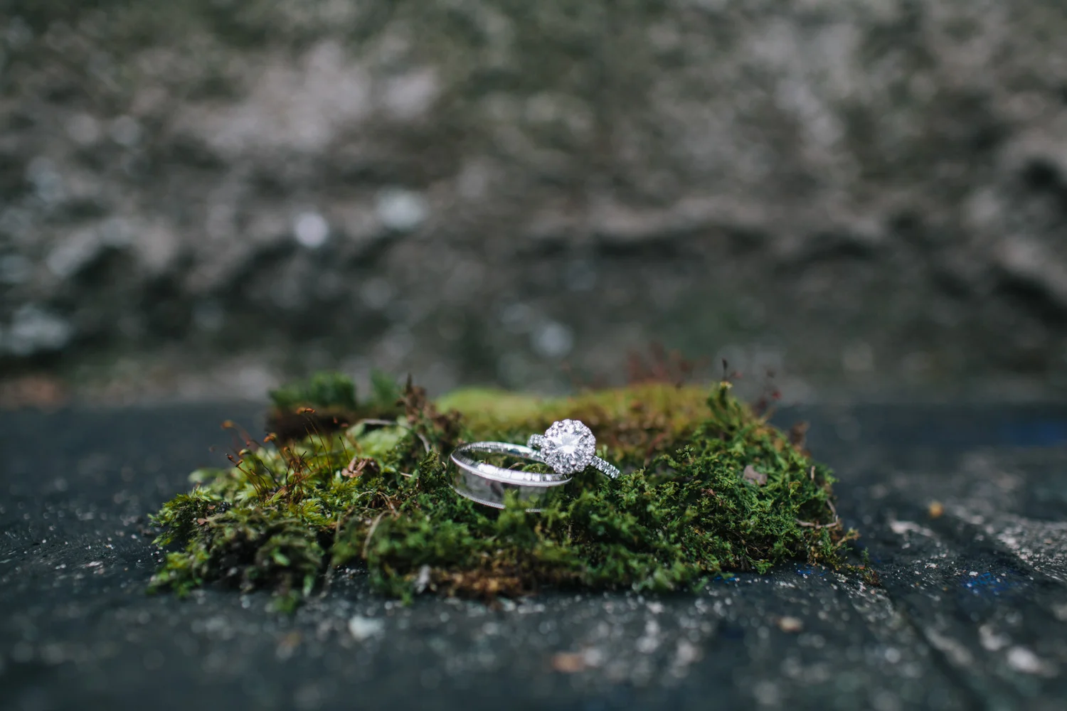 TheAislingCollective_Website_Weddings-143.jpg