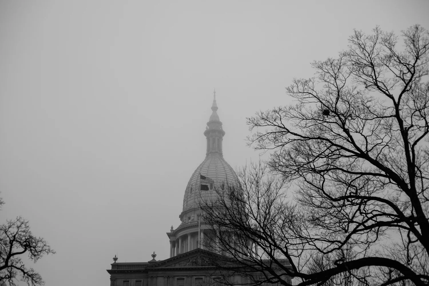 Documentary, photojournalism, Women's March, Lansing, Michigan