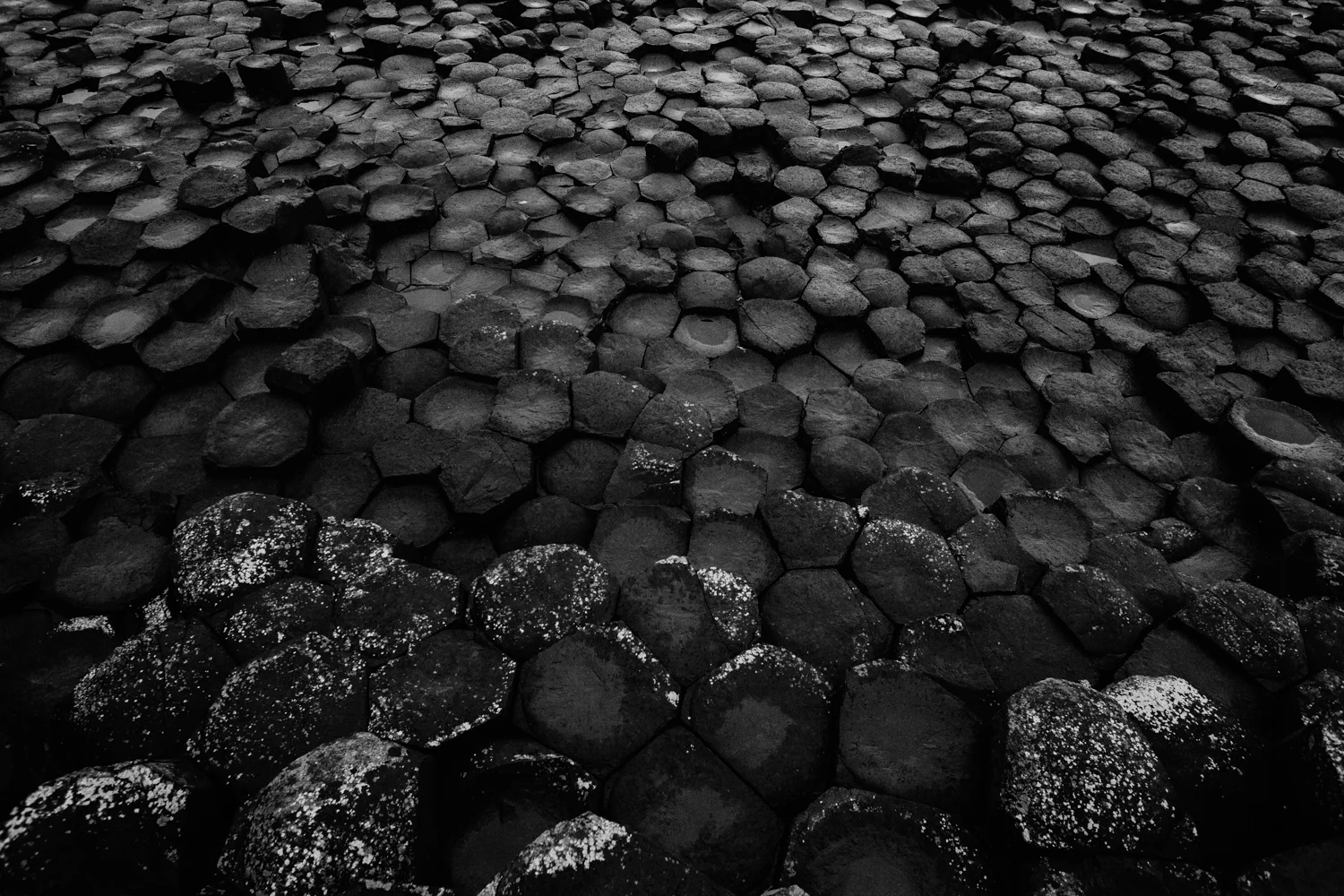 Giants-Causeway-Northern-Ireland-Travel-Vacation-Photographer-The-Aisling-Collective-LR-0824.jpg