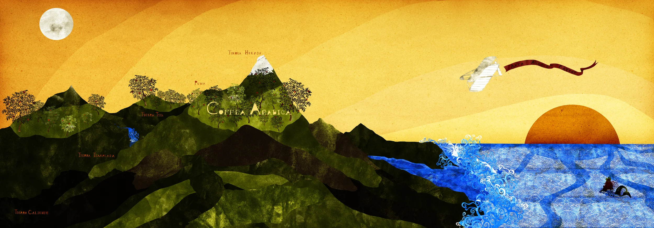 Arabica Mountain
